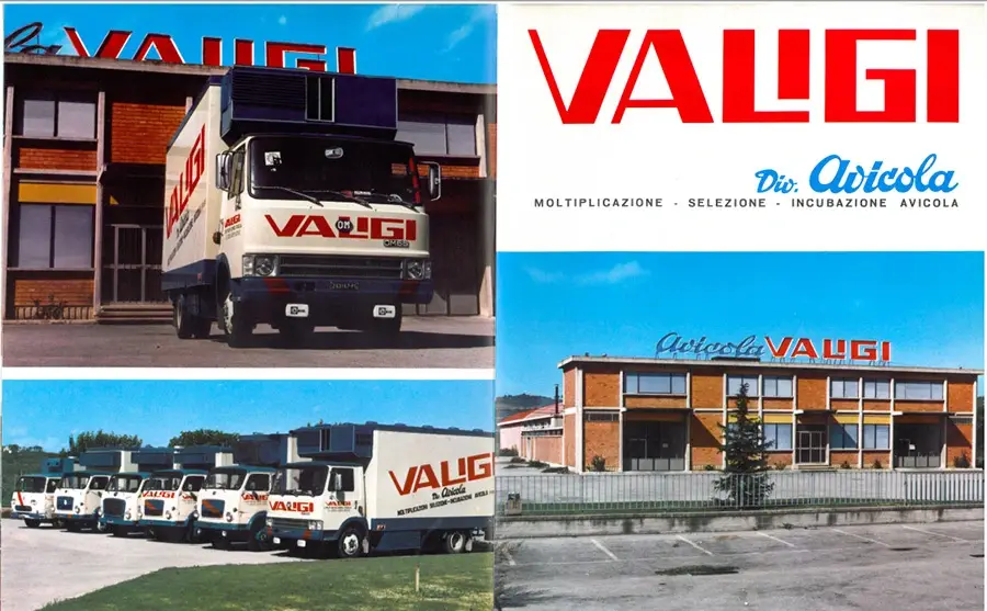 Camion di fronte alla sede di Valigi Spa