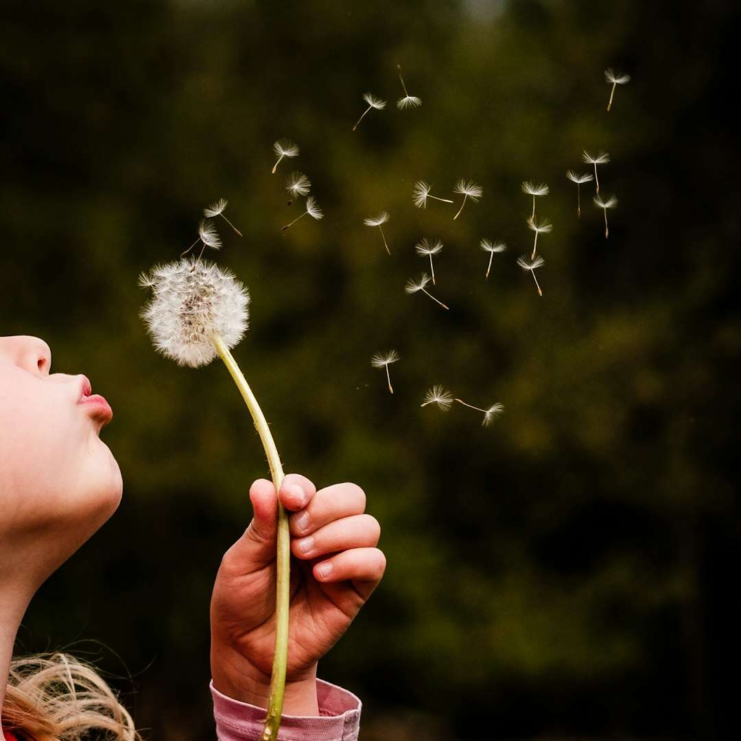 Soffio su un soffione che libera i semi: ciò che il corpo lascia andare