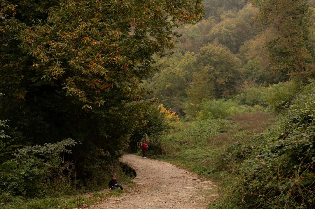 Persona che cammina su un sentiero nel bosco: come vivi ogni giorno