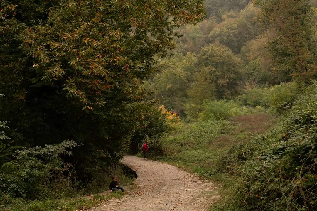 Persona che cammina su un sentiero nel bosco: come vivi ogni giorno